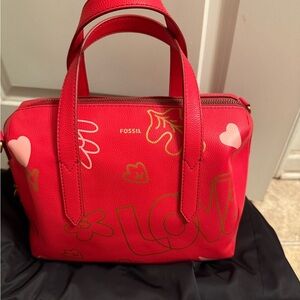 ❤️❤️❤️✨✨Fossil Sydney Satchel  Handbag with Hearts Love 💕